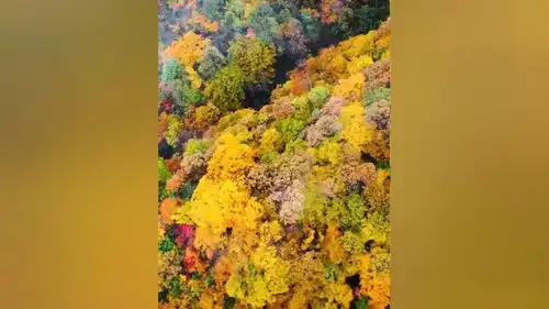 云雾为秋天的龙头山,增添了别样的风采一起享受大自然的美治愈系风景云雾缭绕人间仙境