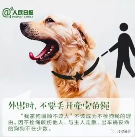 男子遛狗不拴绳,还将保护孩子的女邻居骑住暴打