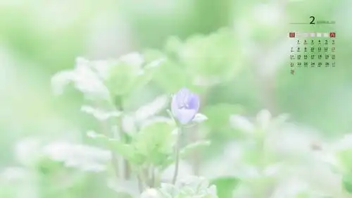 2021年2月小清新日系迷人风光日历