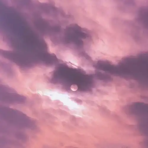 背景图冬天也会有阳光,万物都有希望