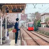 樱花清新动漫头像微信头像图片大全