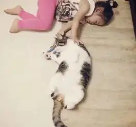 猫系人物头像治愈系