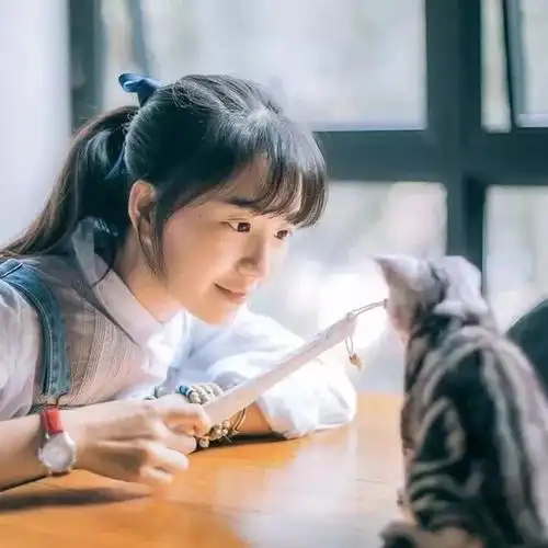 没有肩膀做依靠,就用小窝温暖自己