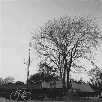 qq伤感头像伤感头像大全2020最新版的伤感头像男生女生带字腾牛个性网