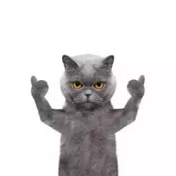 壁纸头像朋友圈背景图强势来袭