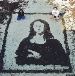 美国女生用笔记拼出梵高名画