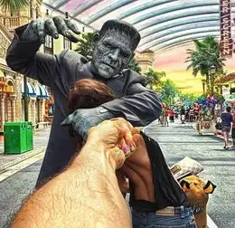 跟我走情侣大婚发布系列婚礼照