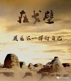 行之道中国商界精英戈壁挑战赛