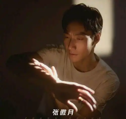 追光吧哥哥2最大60岁最小26岁,流量明星让路,中年大叔吃香