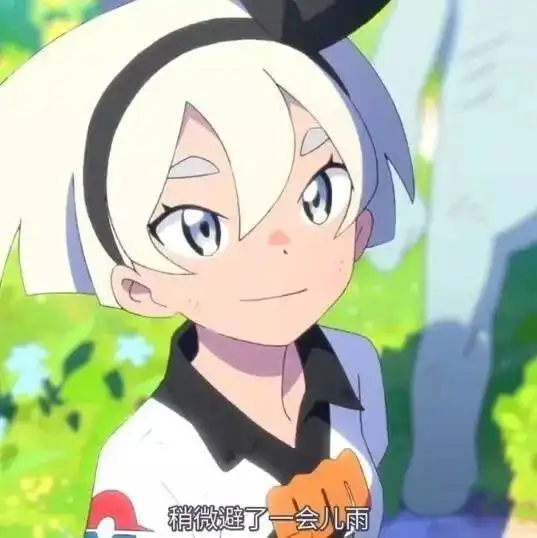 宝可梦剑盾动画主角为提升训练师能力,亲自和精灵对战