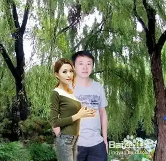 美图秀秀怎么制作动态头像