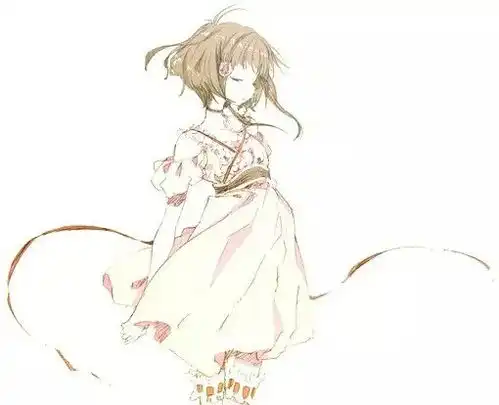 服装素材