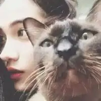 带猫的好看头像欧美欧美人士抱猫的头像