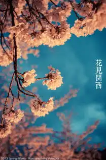 小清新温暖干净安静唯美静物物语时堆糖,美好生活研究所