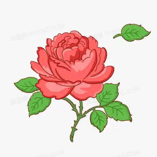 牡丹花牡丹红花手绘卡通元素图片免费下载png素材编号192iwd9kw图精灵