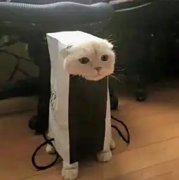 有什么适合男生的微信头像