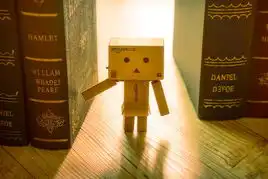 治愈系小清新亚马逊小盒子的幸福生活