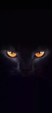 抖音上超火的睁眼壁纸,屏幕自动睁眼