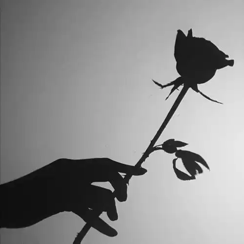 适合发朋友圈的网易云热评值得收藏