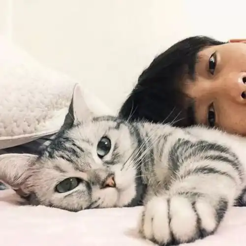 情侣头像我把月亮戳到天上我把唇压进你的脸庞你就是我的