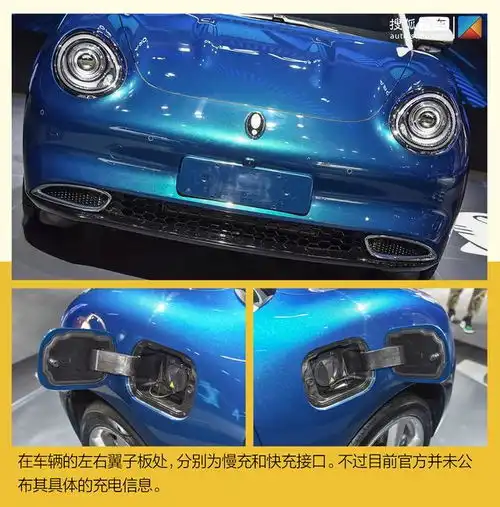 猫系家族又添新成员欧拉猫实拍解析