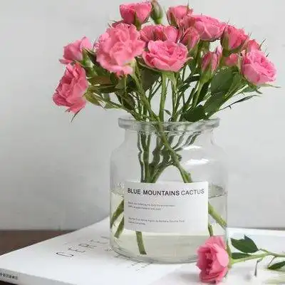 男友是个小狼狗还是小奶狗