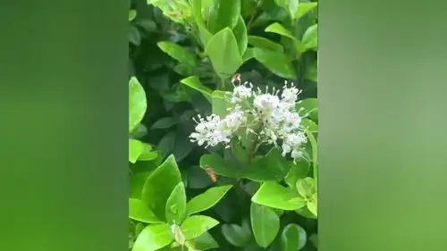 身边从不缺乏美,相由心生,美由心品治愈系风景