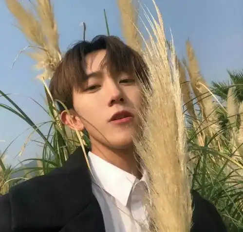 男生头像遨游四海求其凰