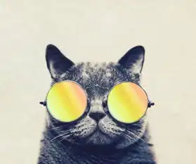程苏豪卡通猫星人头像
