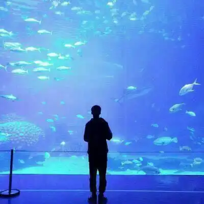 帮我找一张情侣头像背景是蓝色的一张一人那种