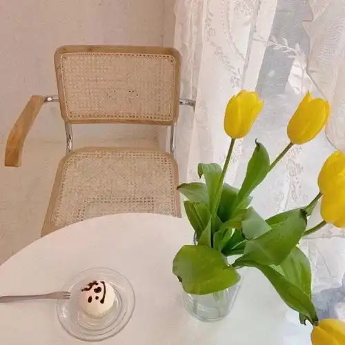 文案我始终不明白是陪伴重要还是喜欢