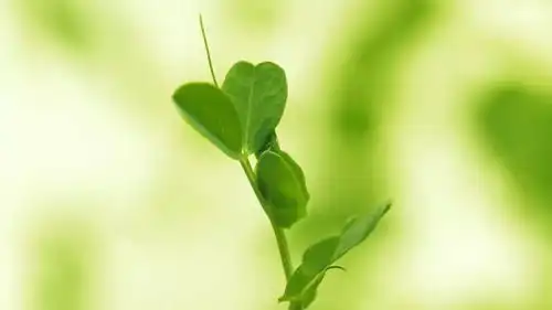 疫情严峻不如宅在家聆听100首纯音乐,沁人心脾