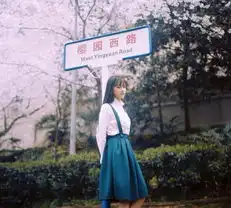 组图武大女神赏樱花清秀淡雅文艺范儿