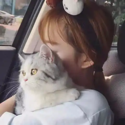 最近火了占有欲情侣头像不能给我全部,那就全部别给我