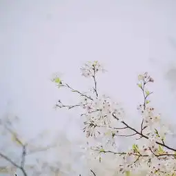 遇见,是一个美丽的词