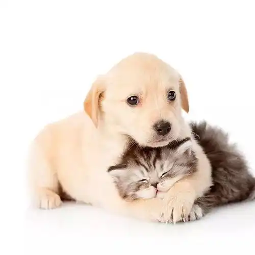 你的朋友圈封面背景图,多久没换了土味套路情话你知多少