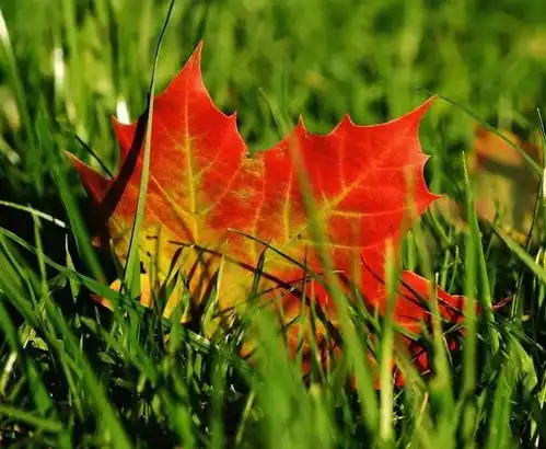 晚安心语阳光,幸福得到的多