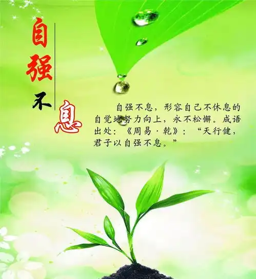 分享今日励志文案,给正在努力的你