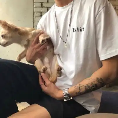 带动物暖心头像酷部位男生猫狗兔兔