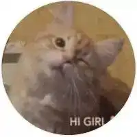 身为一个女孩,竟被一只猫给撩了