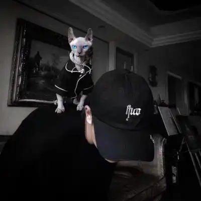 优质干净男头高冷