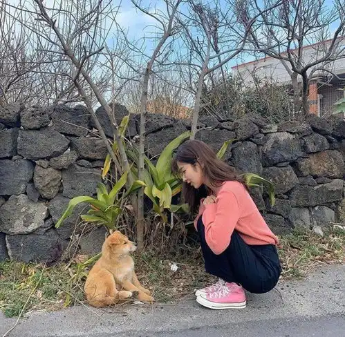 别再穿黑白灰了今年巨火的初恋色美美美哭了