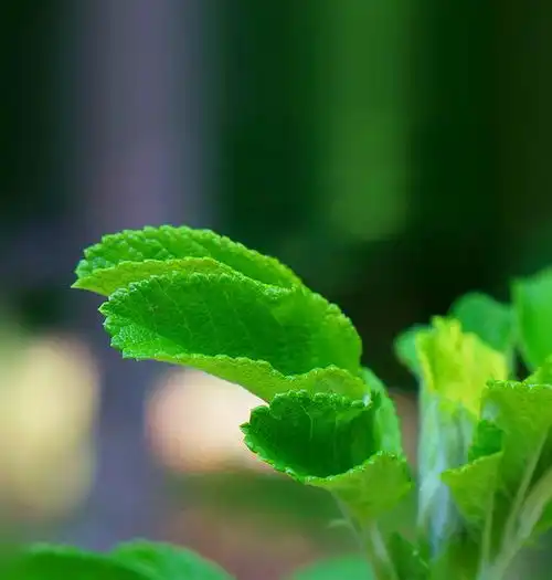 年过40的她,为何如此会穿不穿大牌留短发,还能优雅高级