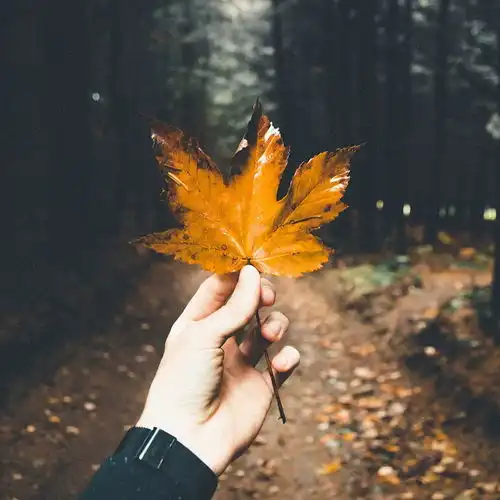心理周刊你就是自己的风景