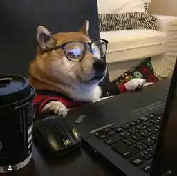 燃烧冰滑板线下小课堂第一期开课啦学员们快来报名参加