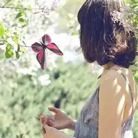 唯美的蝴蝶qq头像