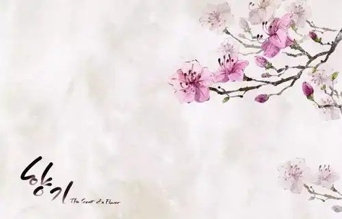 顾影自怜的词人张先