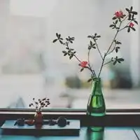 qq头像花朵唯美小清新