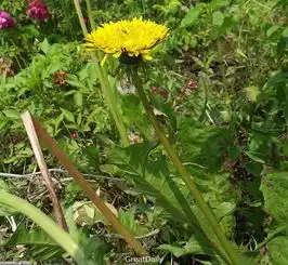 修道头像男系头像高清野