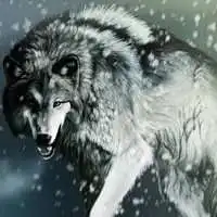 狼炫酷头像图片大全集微信头像图片大全